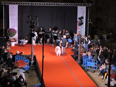 Alella Desfila 18/05/2019