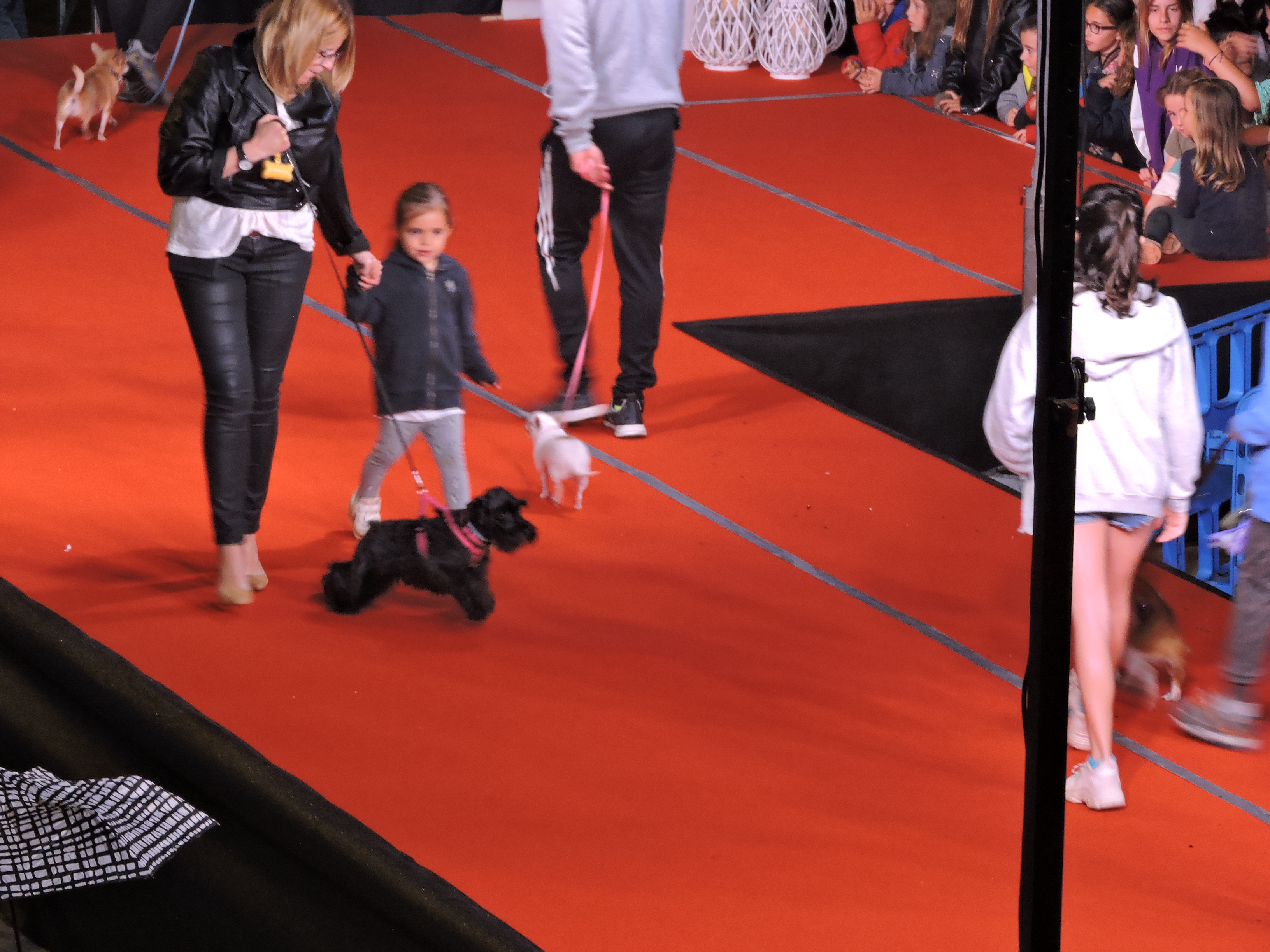 Alella Desfila 18/05/2019