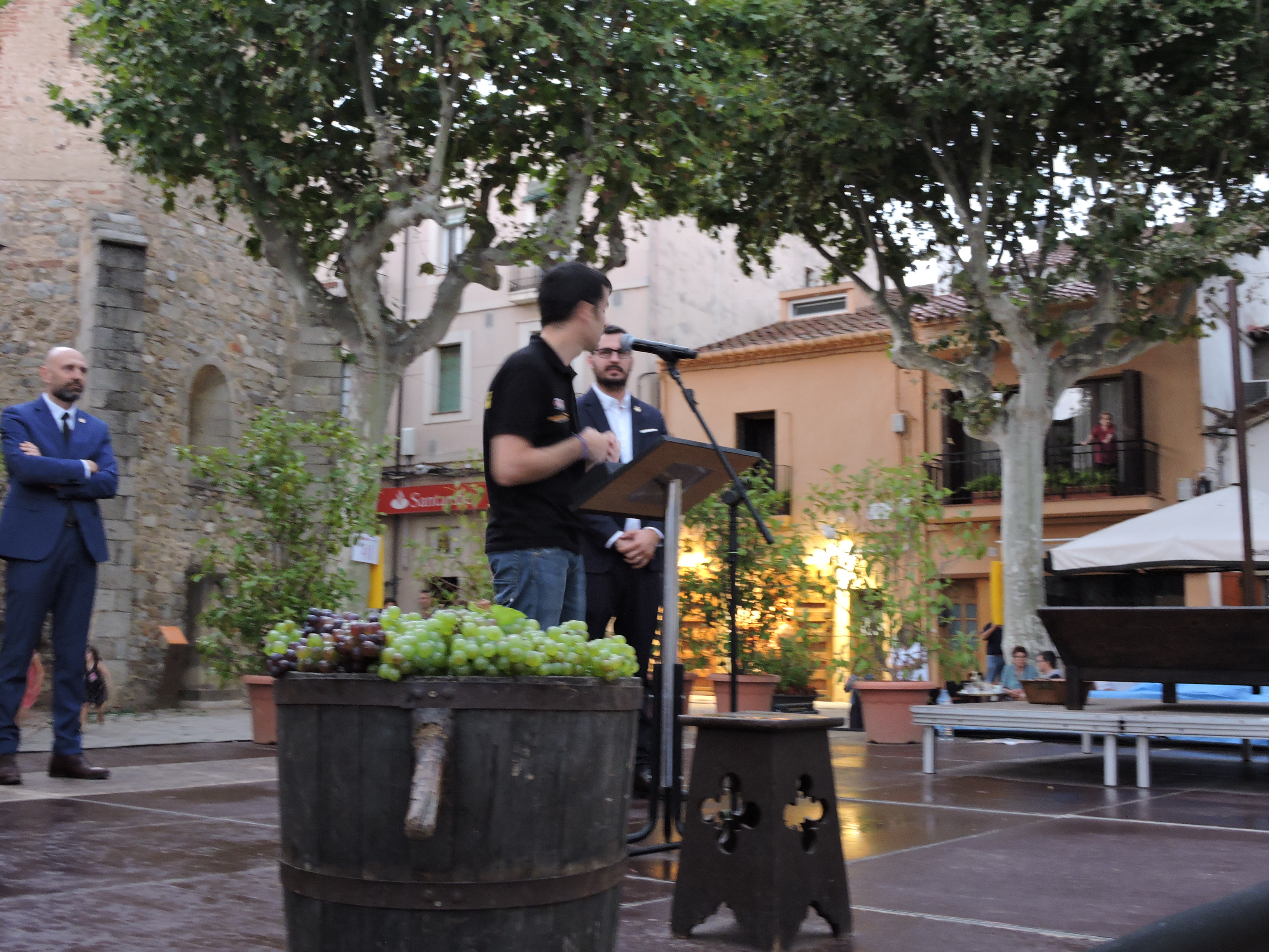 lbum de fotos de la Festa de la Verema - Foto 13462656
