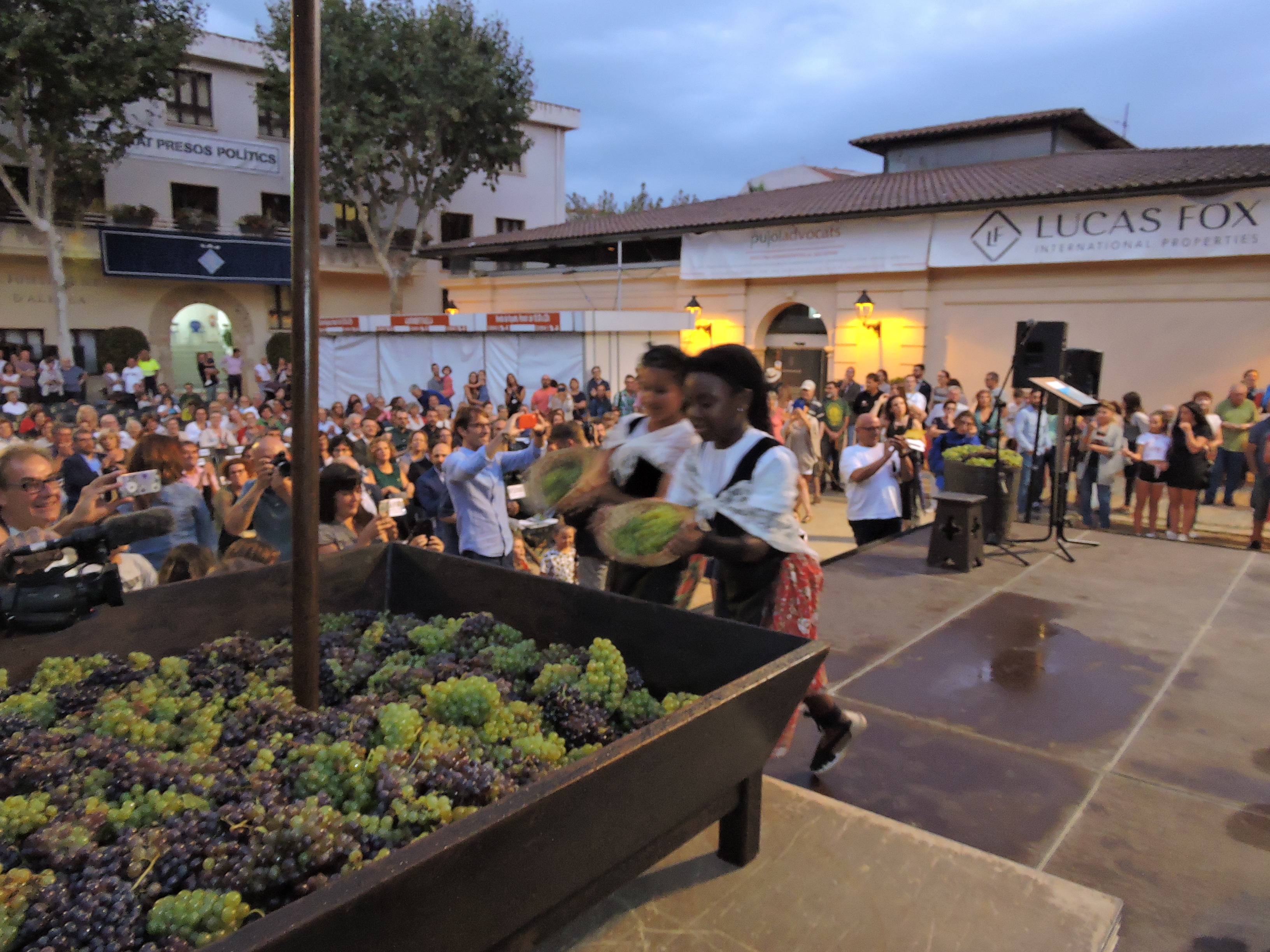 lbum de fotos de la Festa de la Verema - Foto 94829332