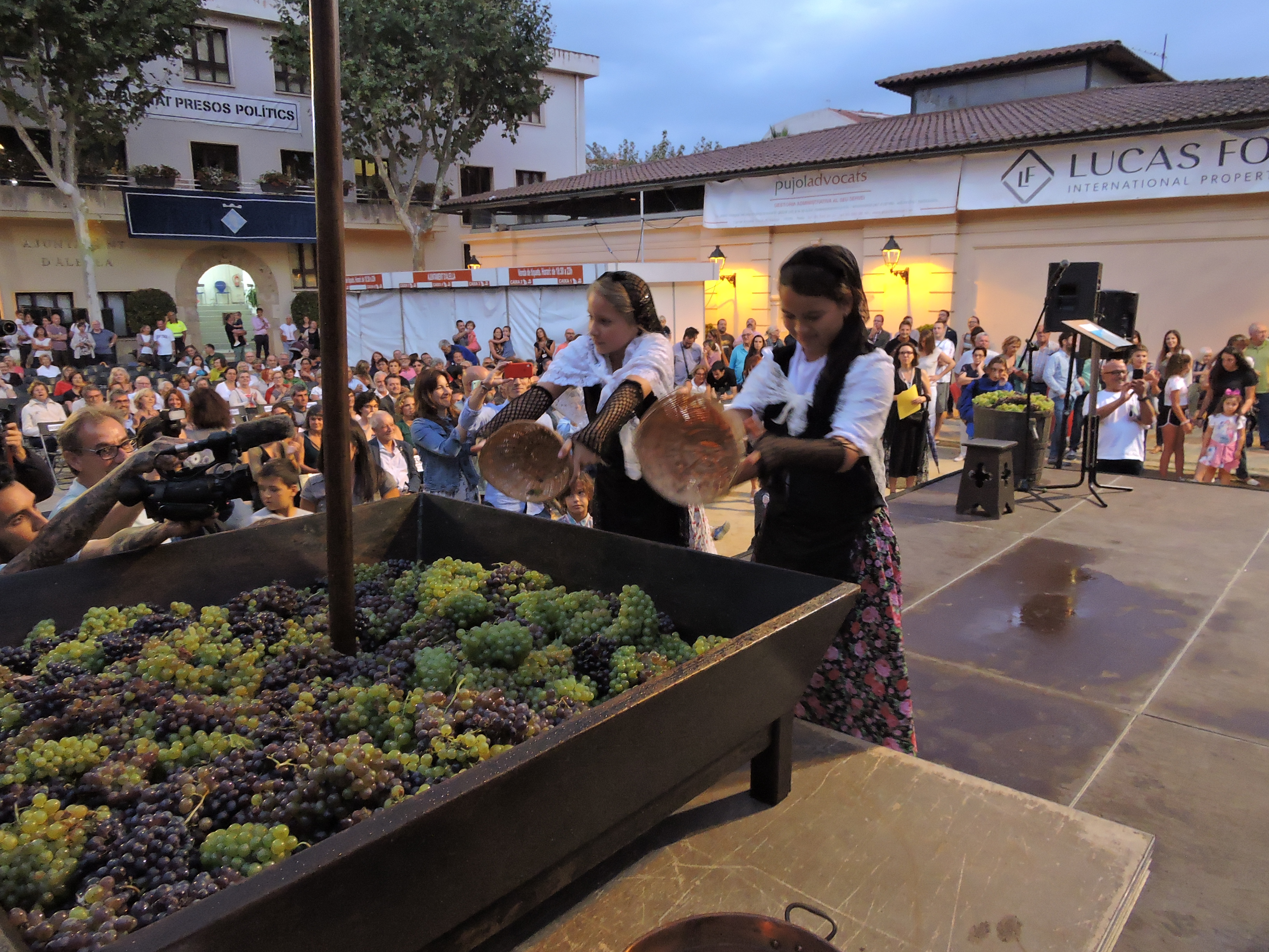lbum de fotos de la Festa de la Verema - Foto 17138585