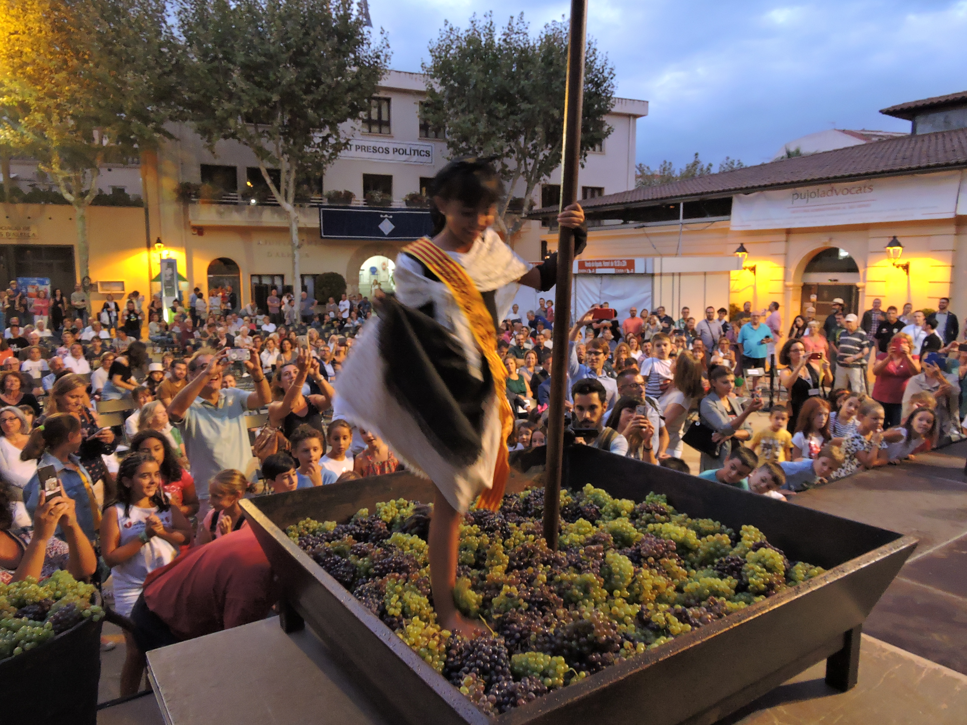 lbum de fotos de la Festa de la Verema - Foto 47136766