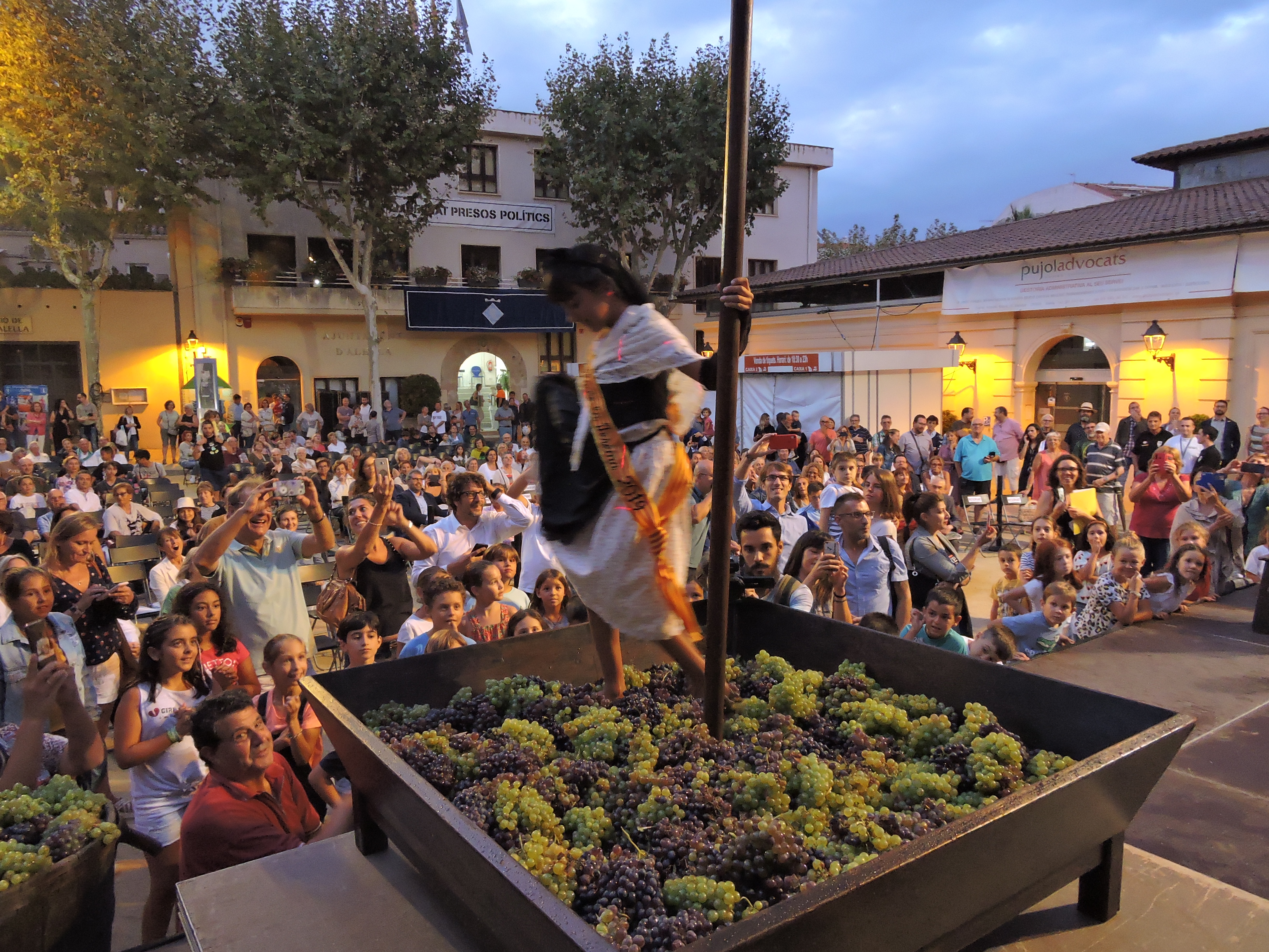 lbum de fotos de la Festa de la Verema - Foto 83043783