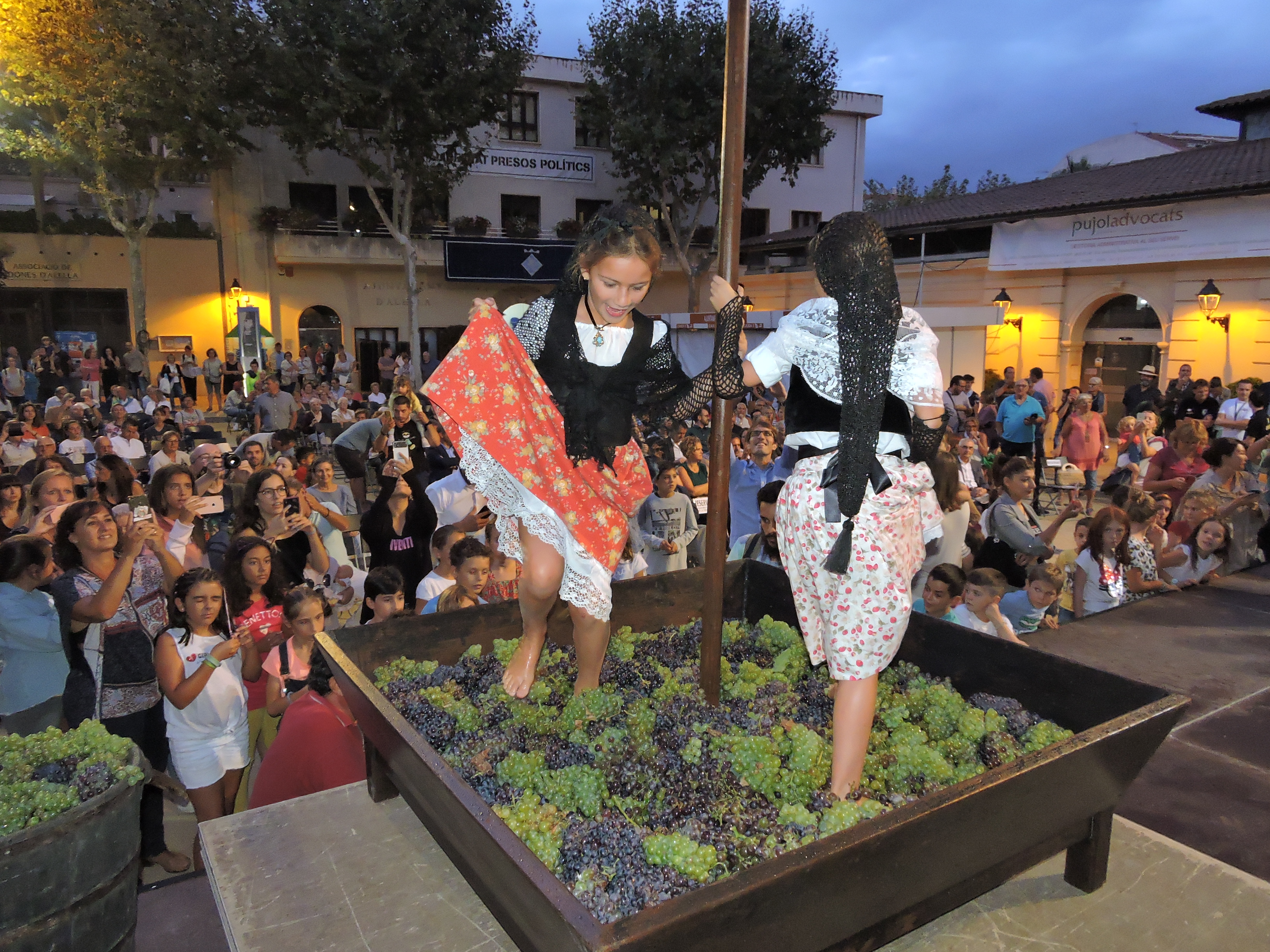 Festa Verema 2019