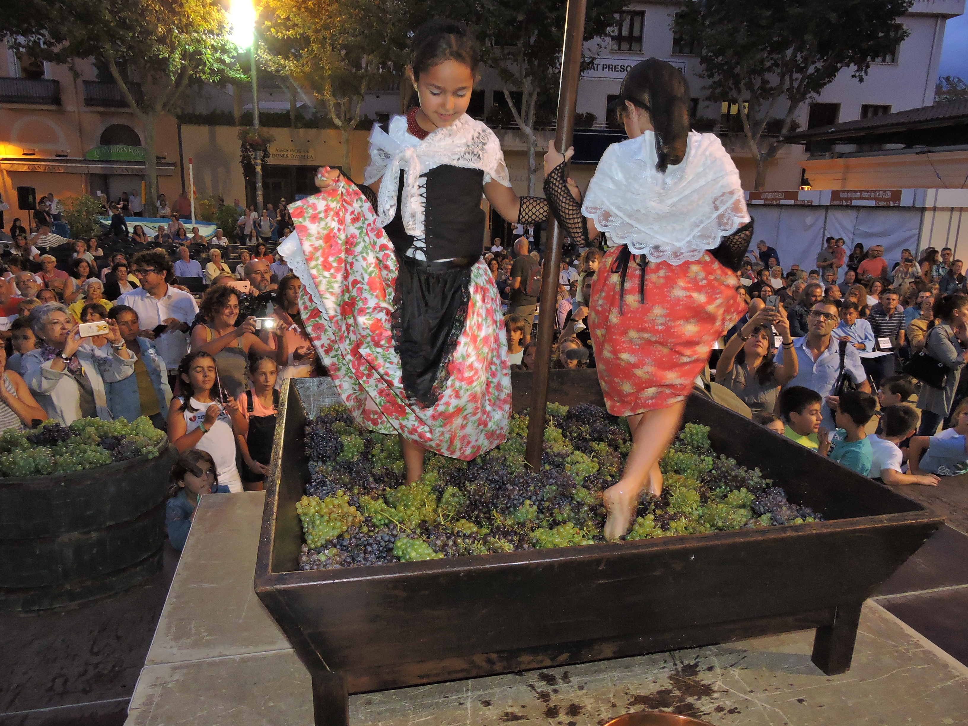 lbum de fotos de la Festa de la Verema - Foto 27594562
