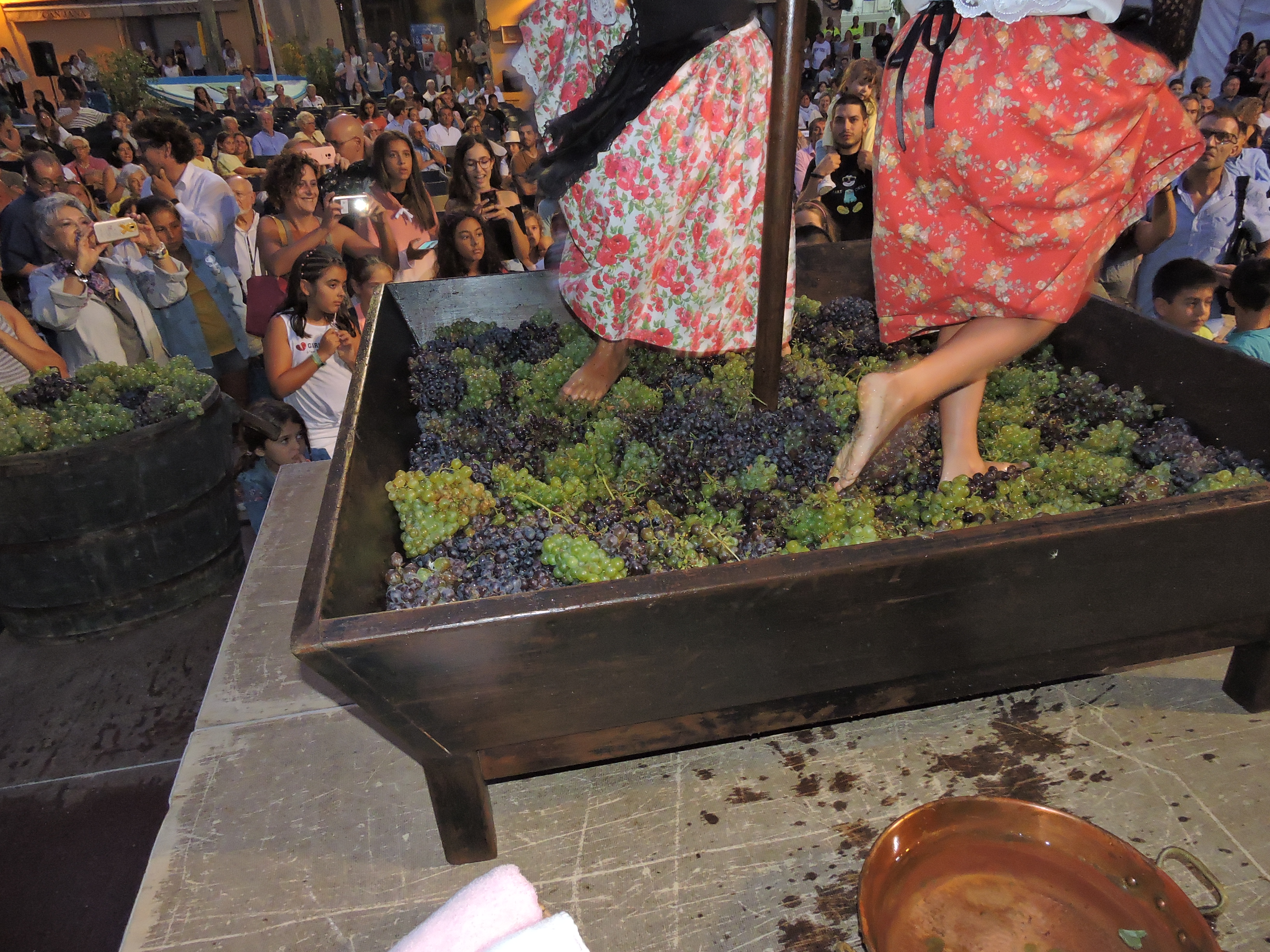 lbum de fotos de la Festa de la Verema - Foto 78516625