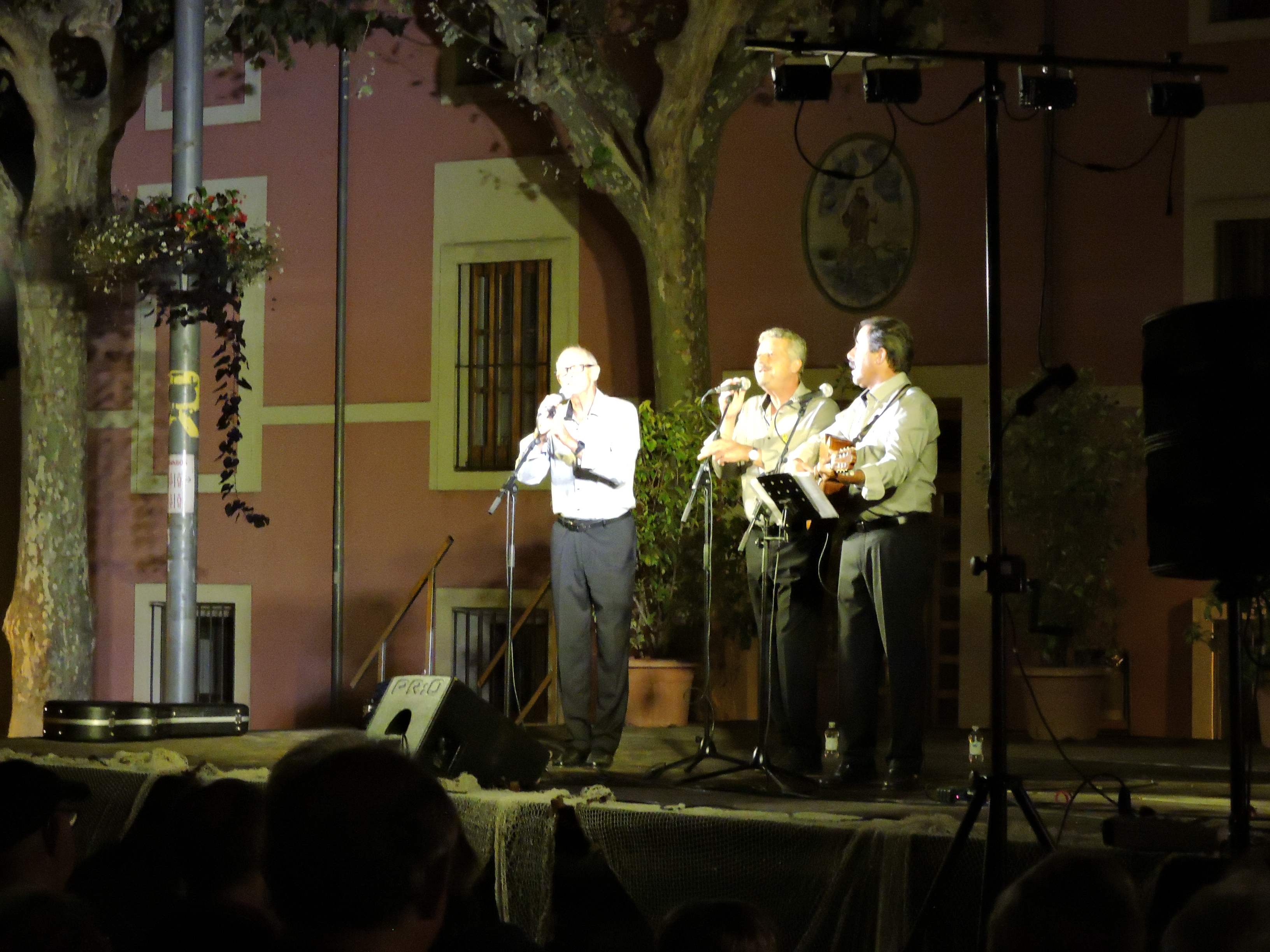 lbum de fotos de la Festa de la Verema - Foto 21061919