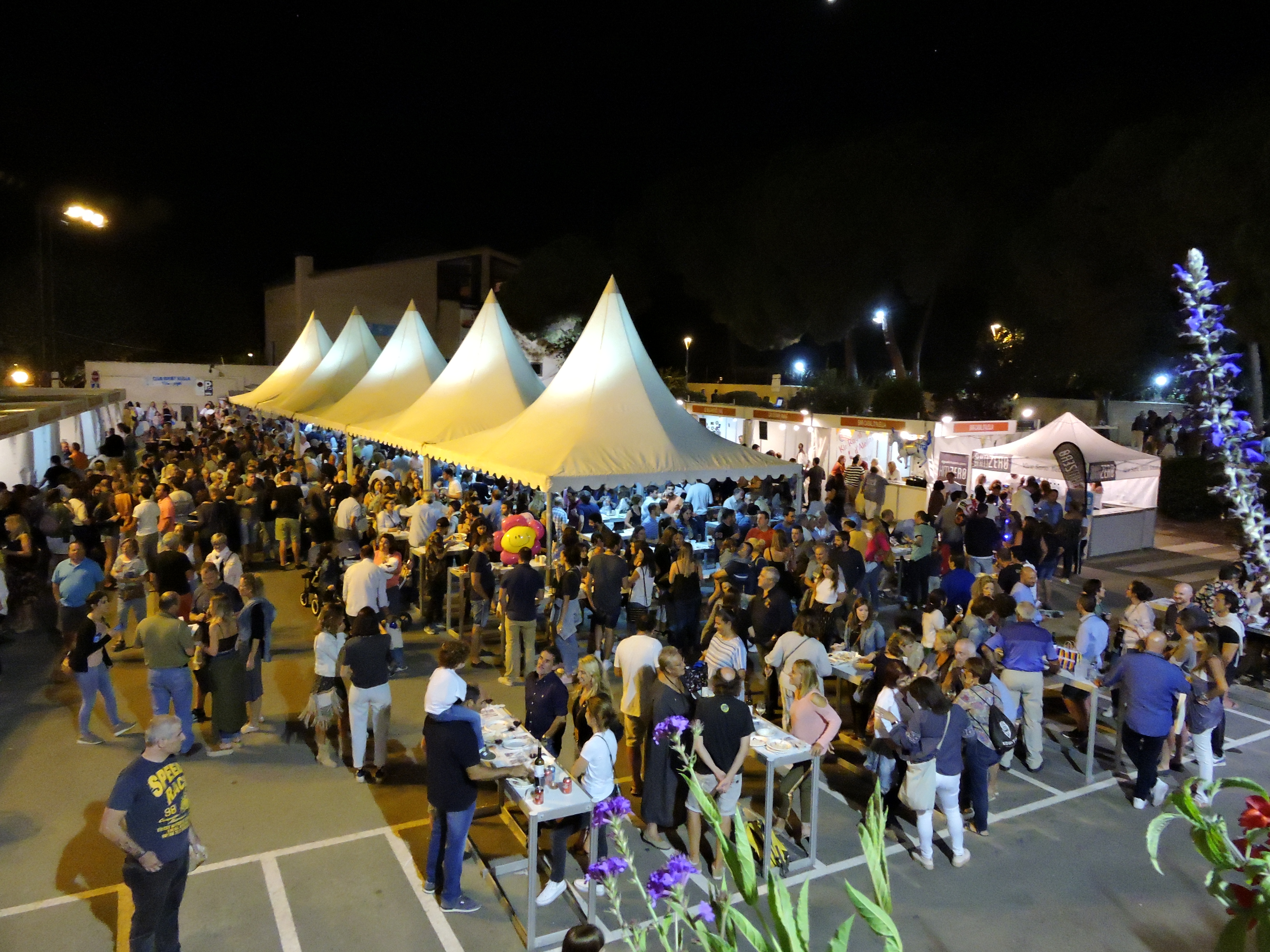 lbum de fotos de la Festa de la Verema - Foto 64250428