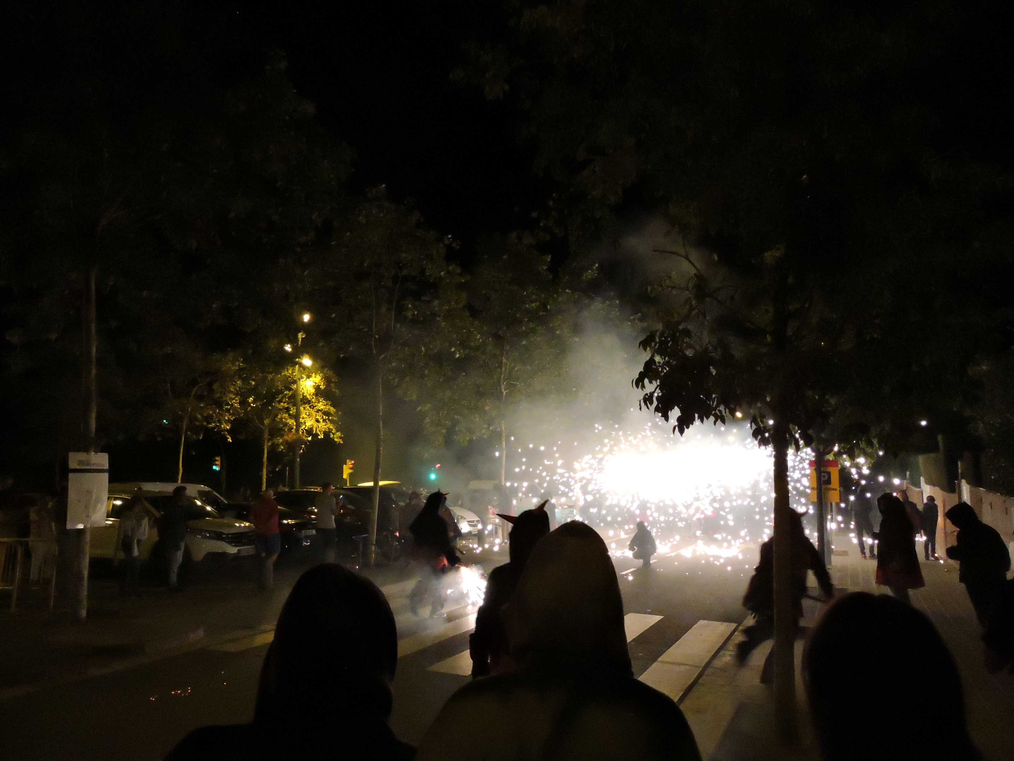 lbum de fotos de la Festa de la Verema - Foto 84952335