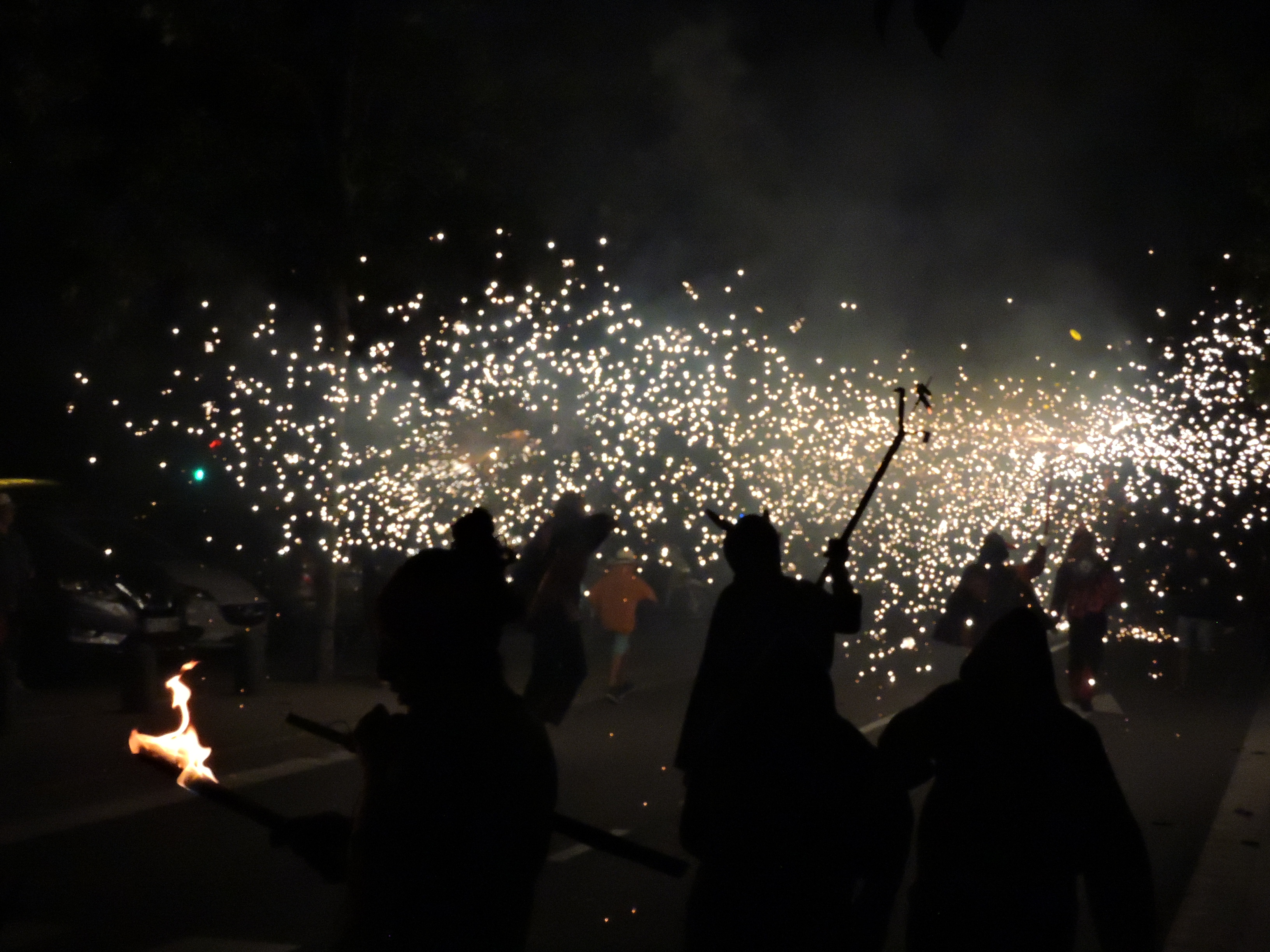 lbum de fotos de la Festa de la Verema - Foto 69891769