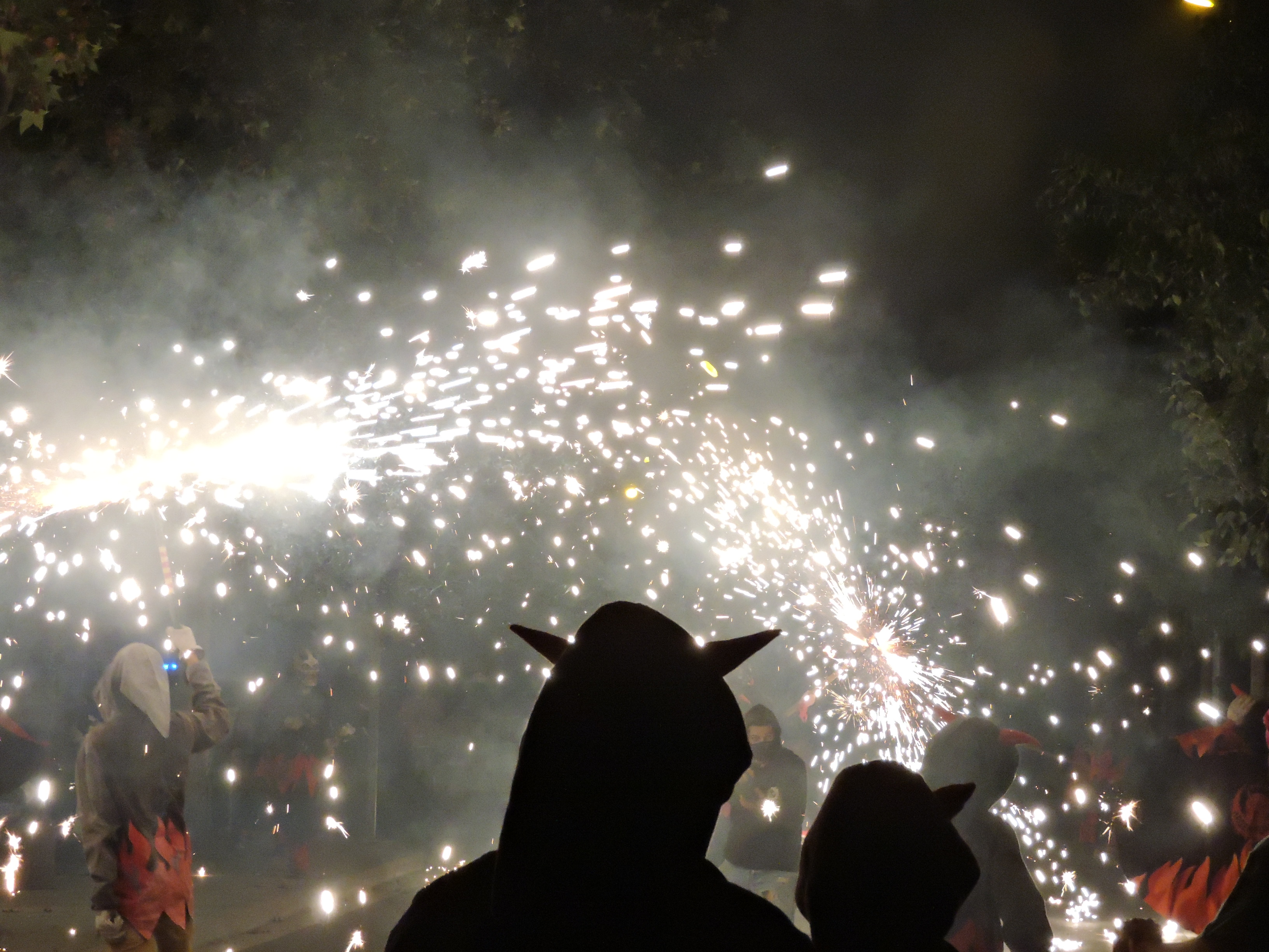 lbum de fotos de la Festa de la Verema - Foto 98958337