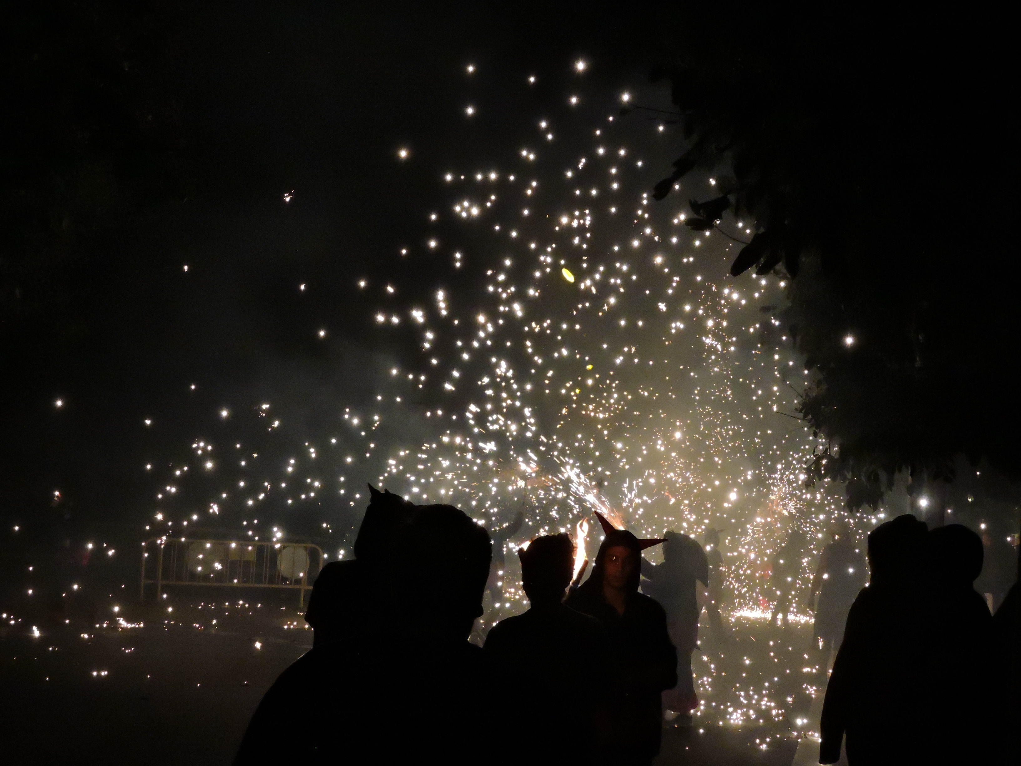 lbum de fotos de la Festa de la Verema - Foto 11518735