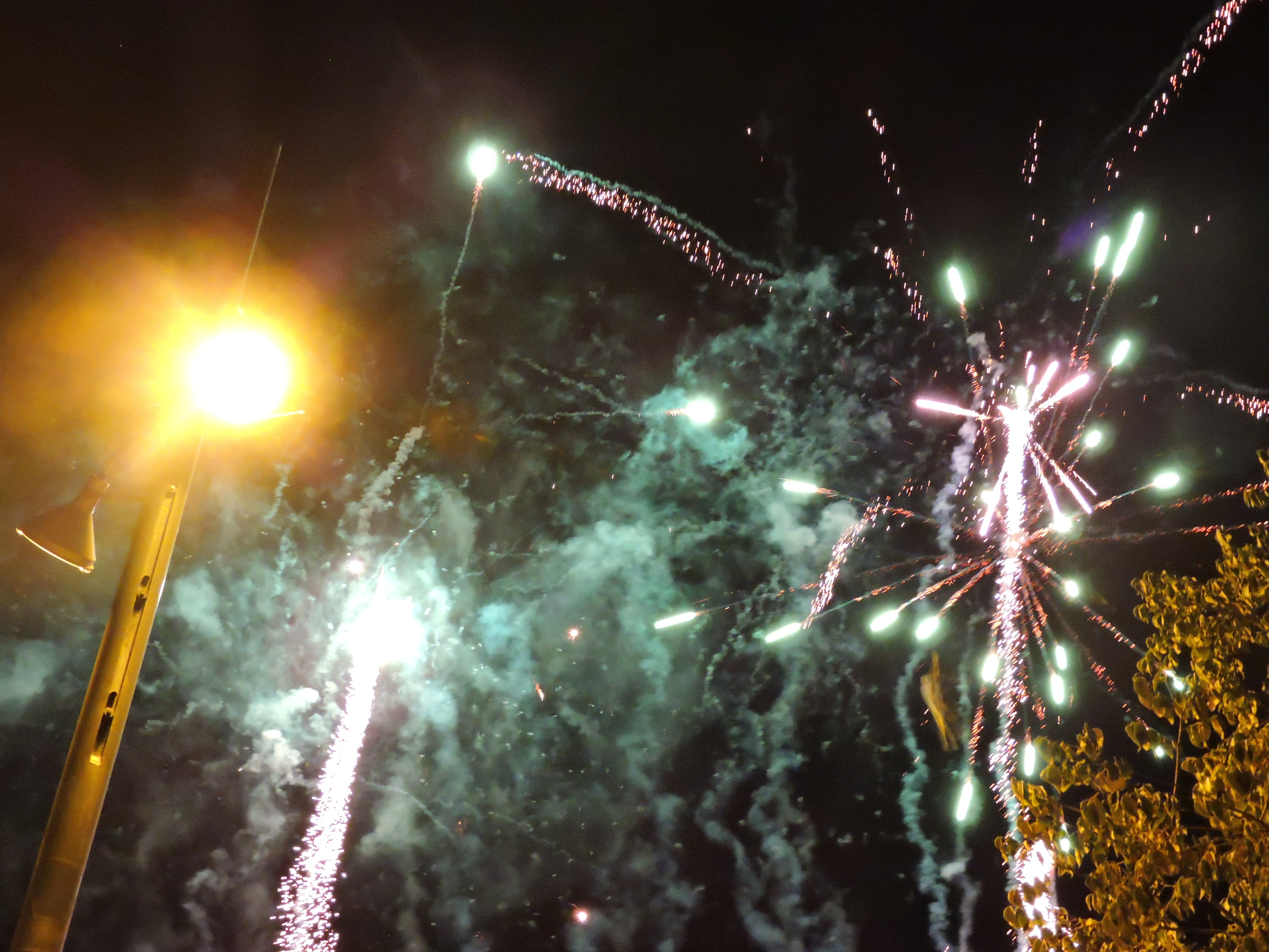 lbum de fotos de la Festa de la Verema - Foto 43544636