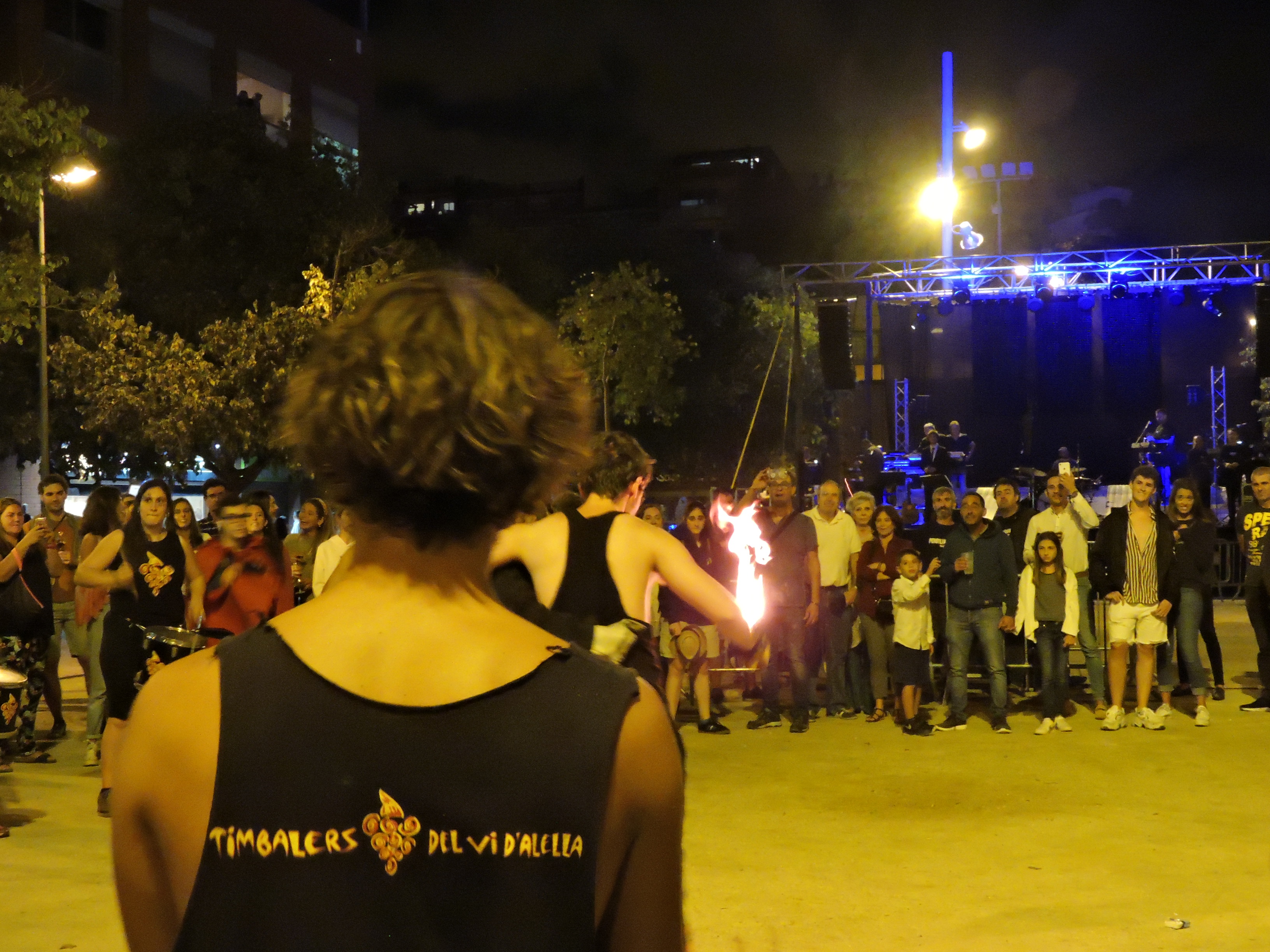 lbum de fotos de la Festa de la Verema - Foto 39309120