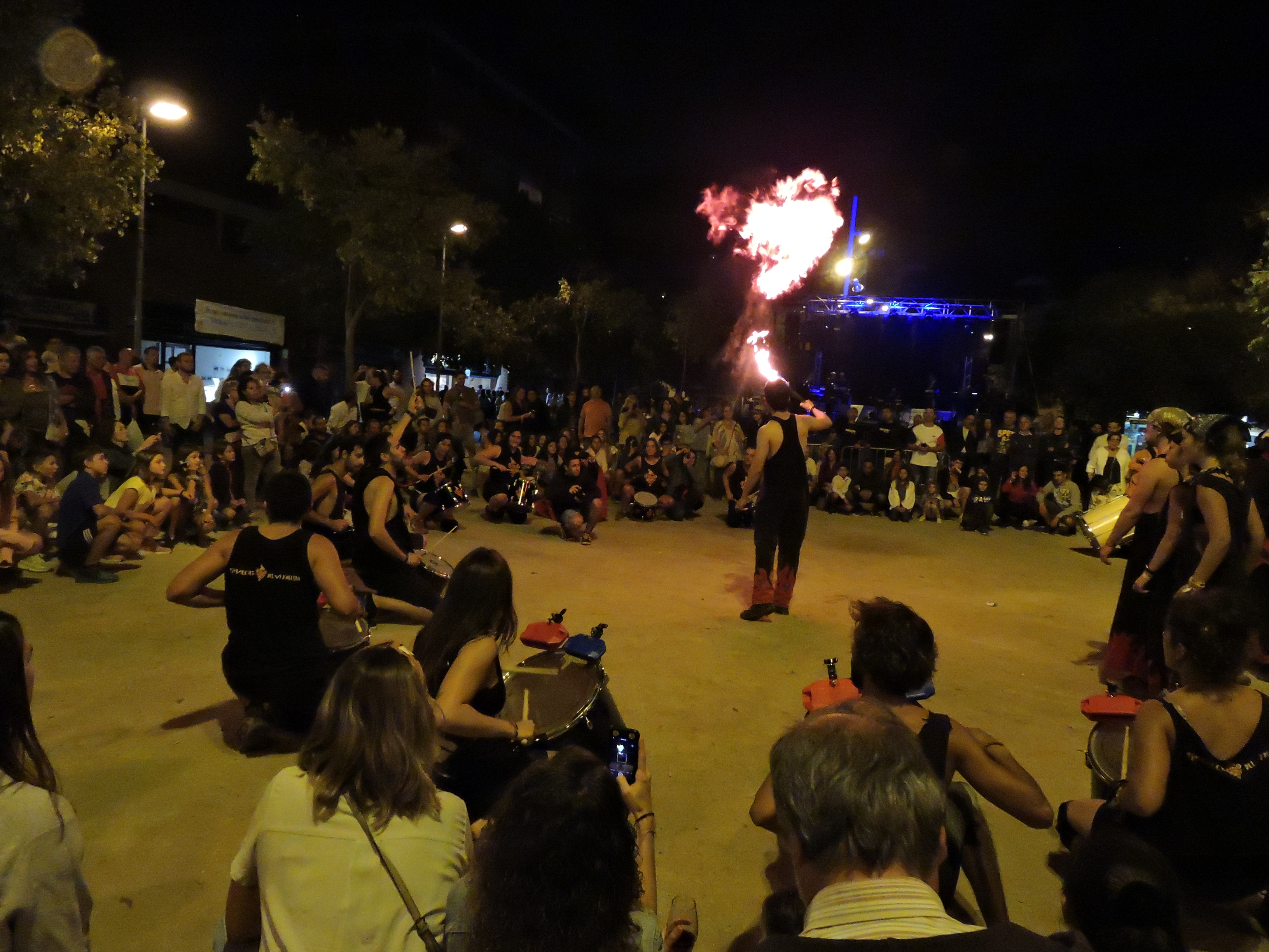 lbum de fotos de la Festa de la Verema - Foto 45594598