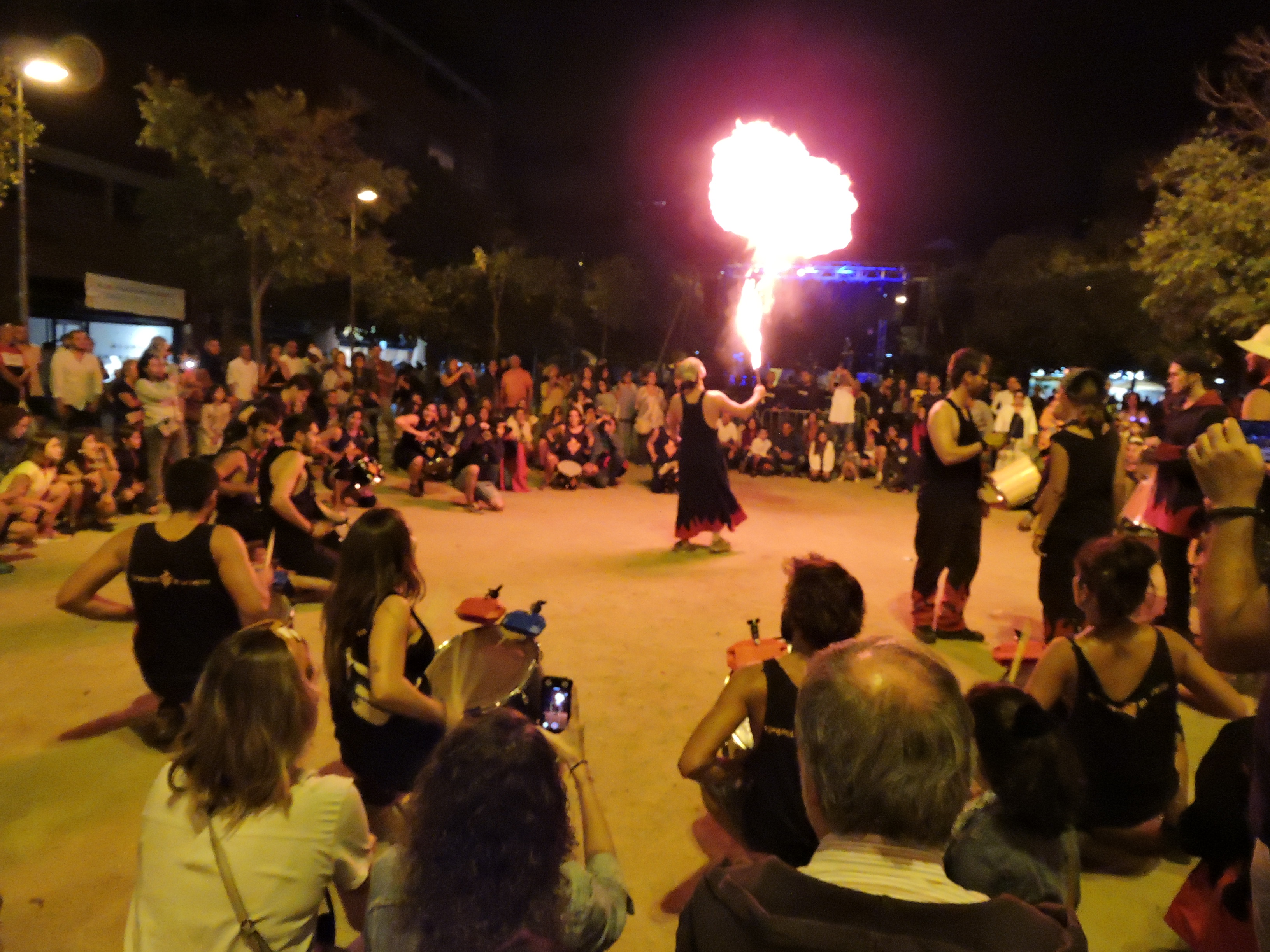lbum de fotos de la Festa de la Verema - Foto 68735490