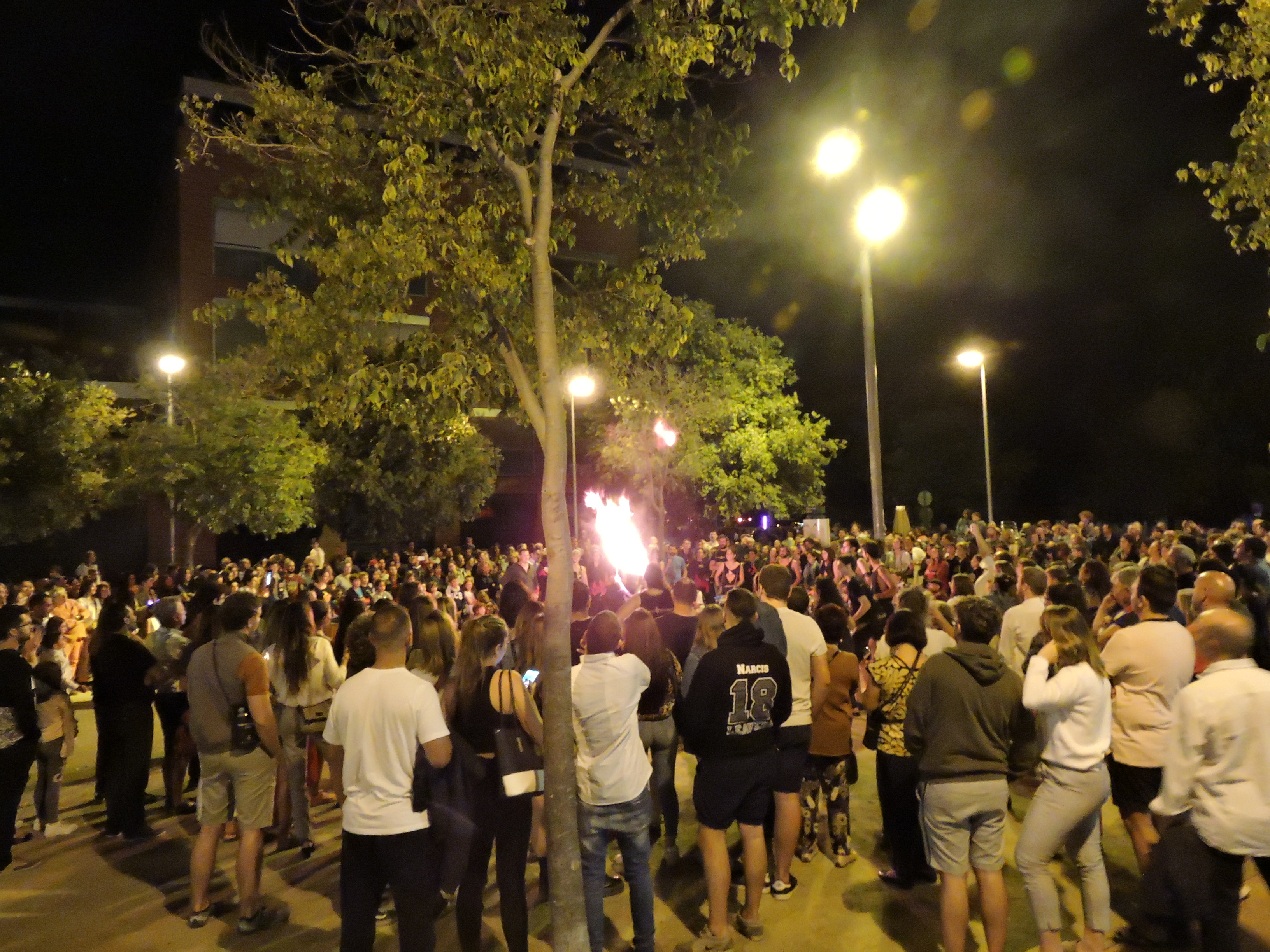 lbum de fotos de la Festa de la Verema - Foto 58346688