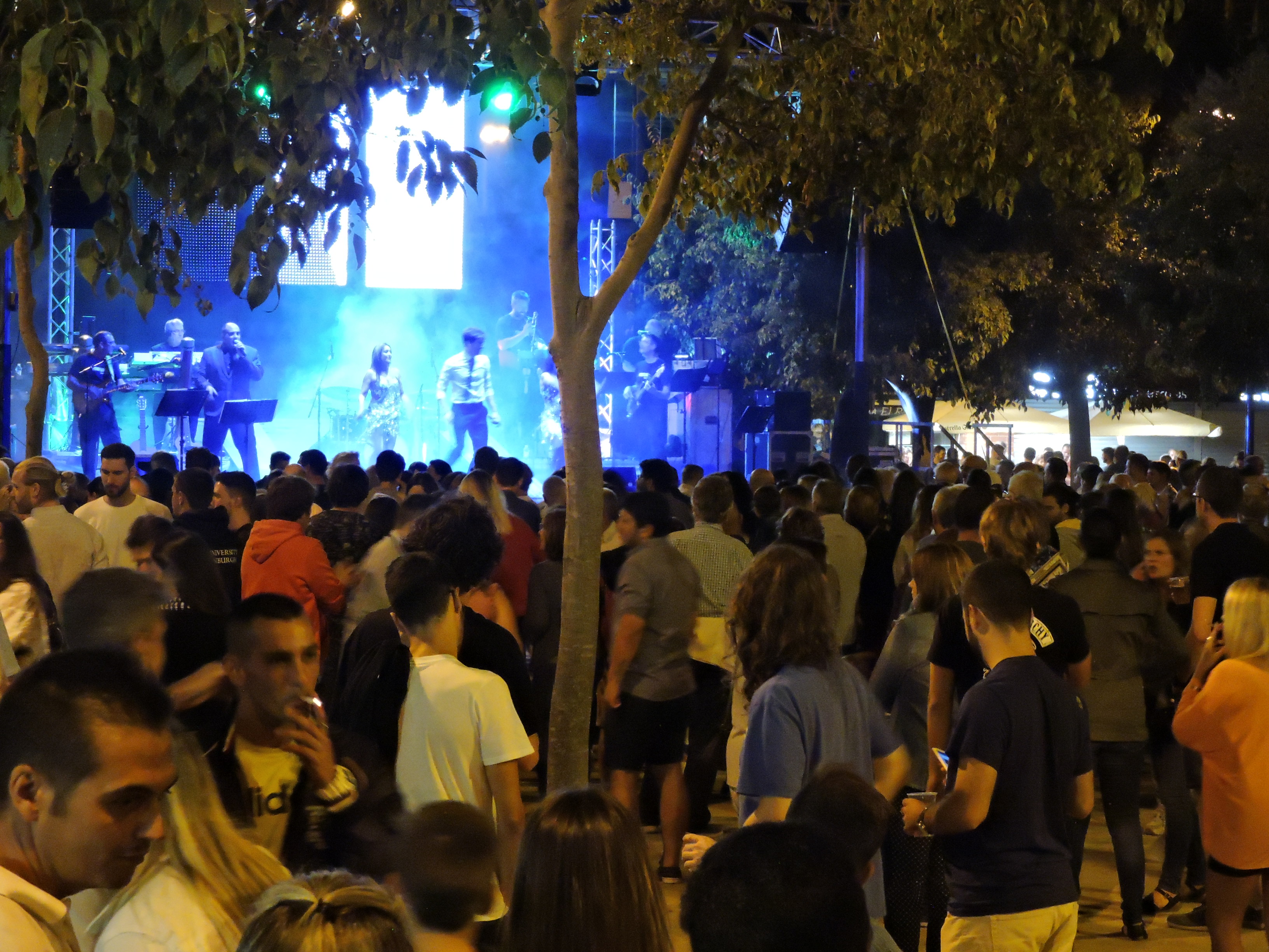 lbum de fotos de la Festa de la Verema - Foto 33600764