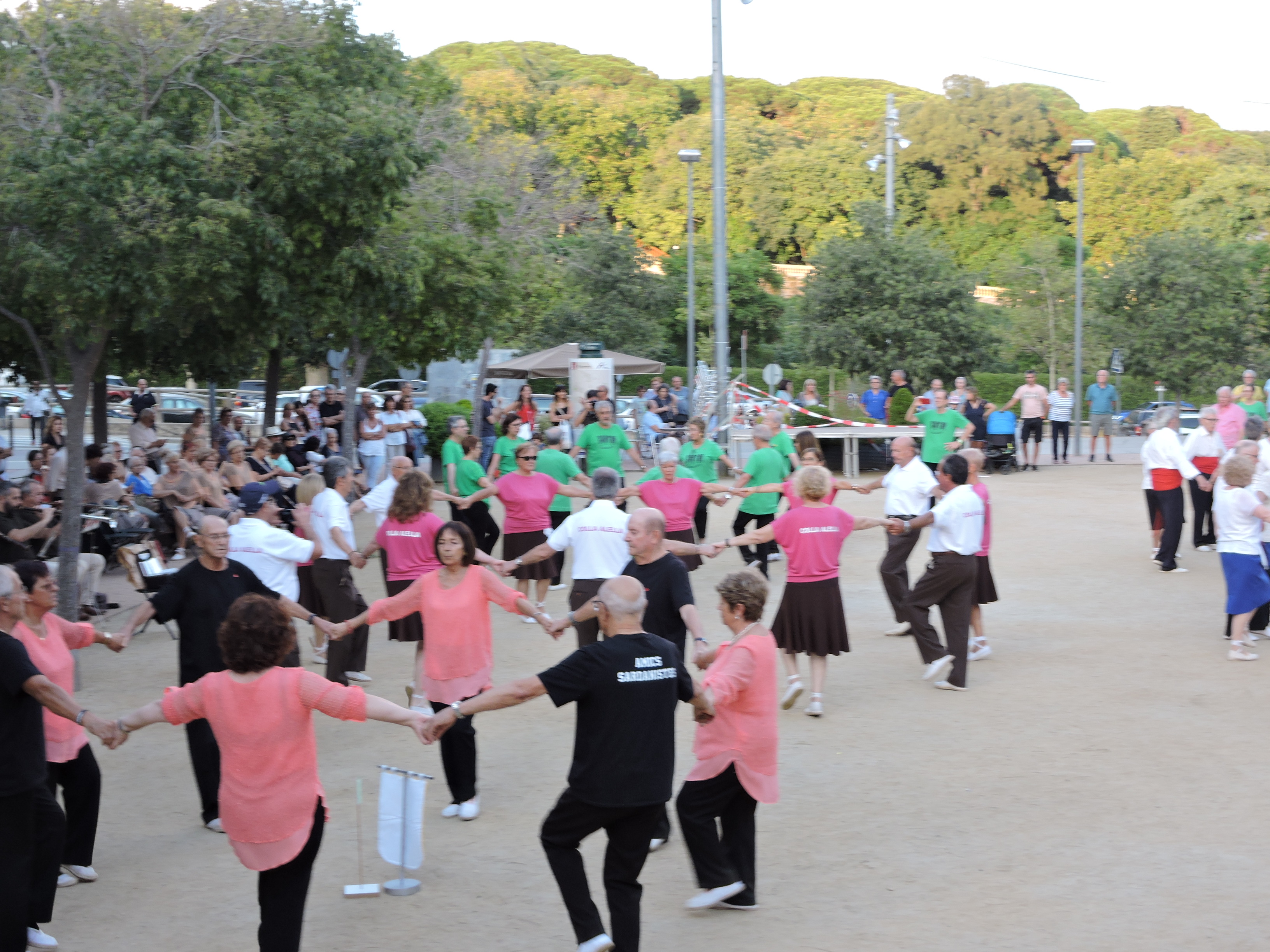 lbum de fotos de la Festa de la Verema - Foto 53838294