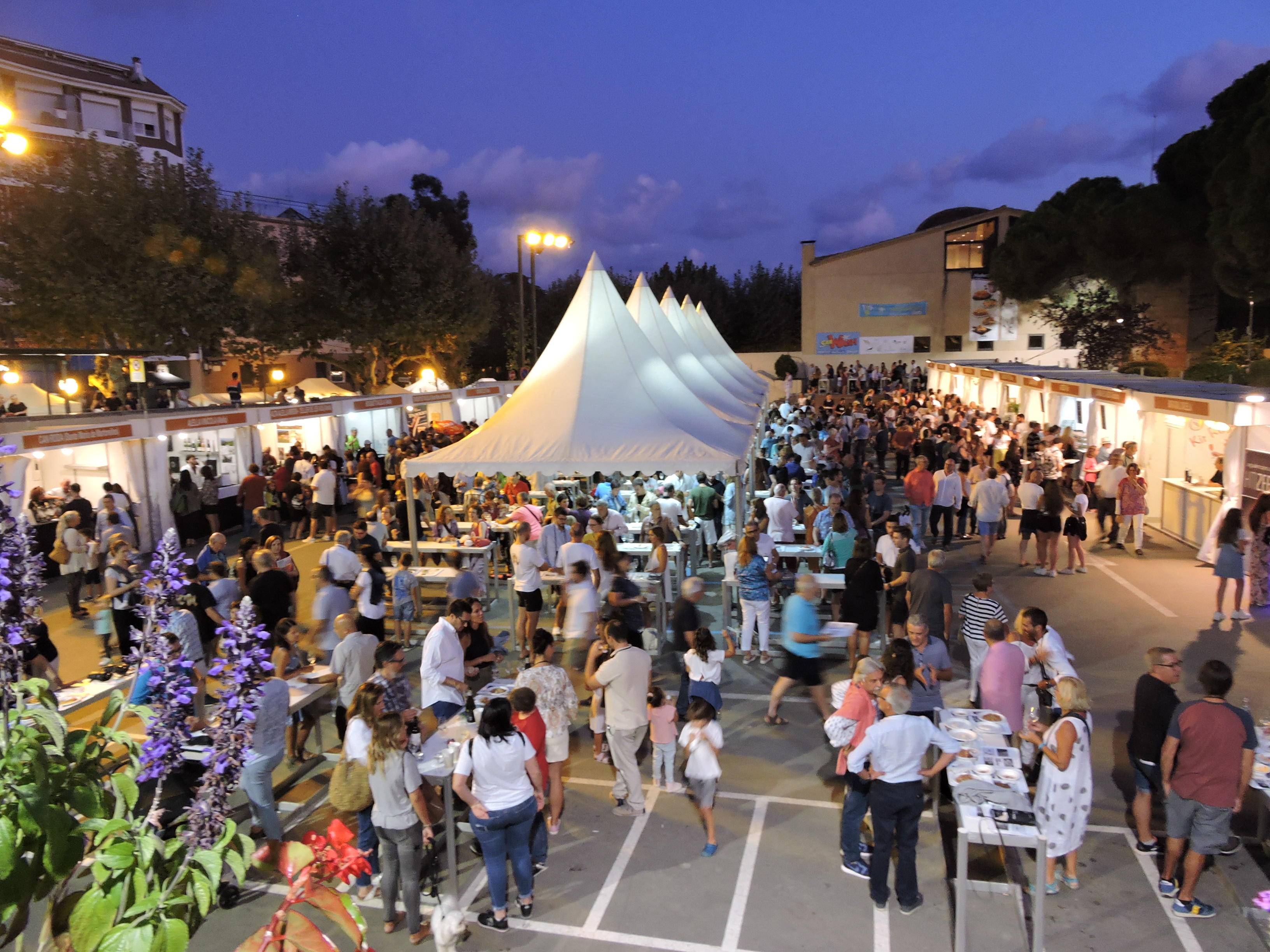 lbum de fotos de la Festa de la Verema - Foto 21853119