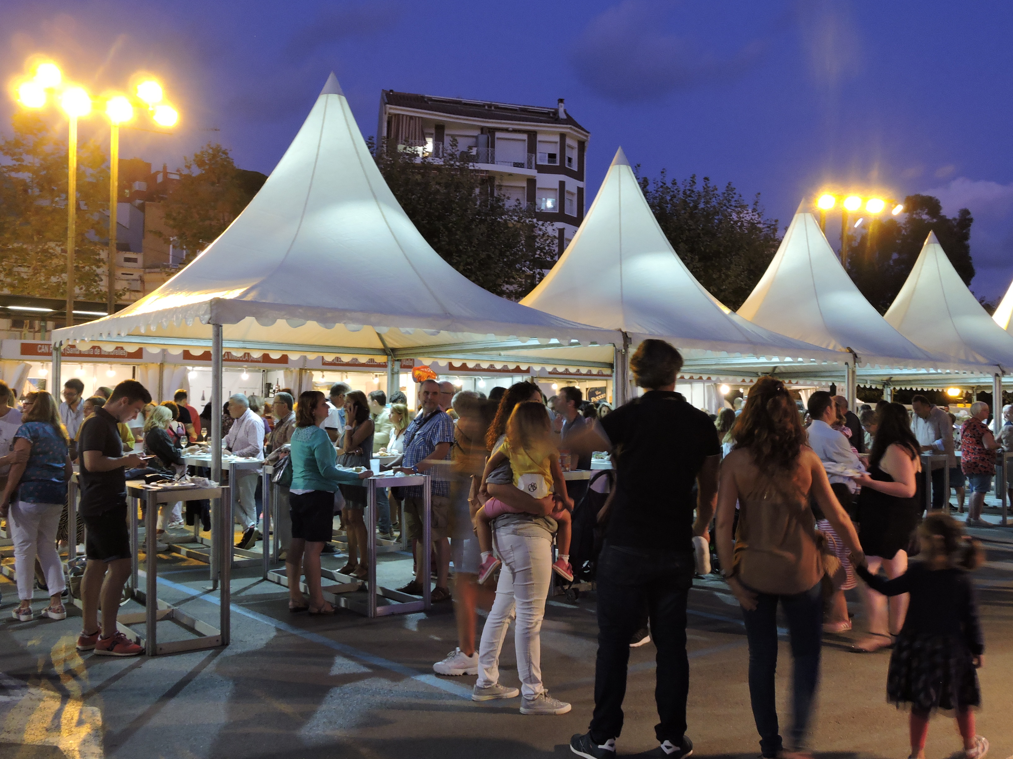 lbum de fotos de la Festa de la Verema - Foto 83085632