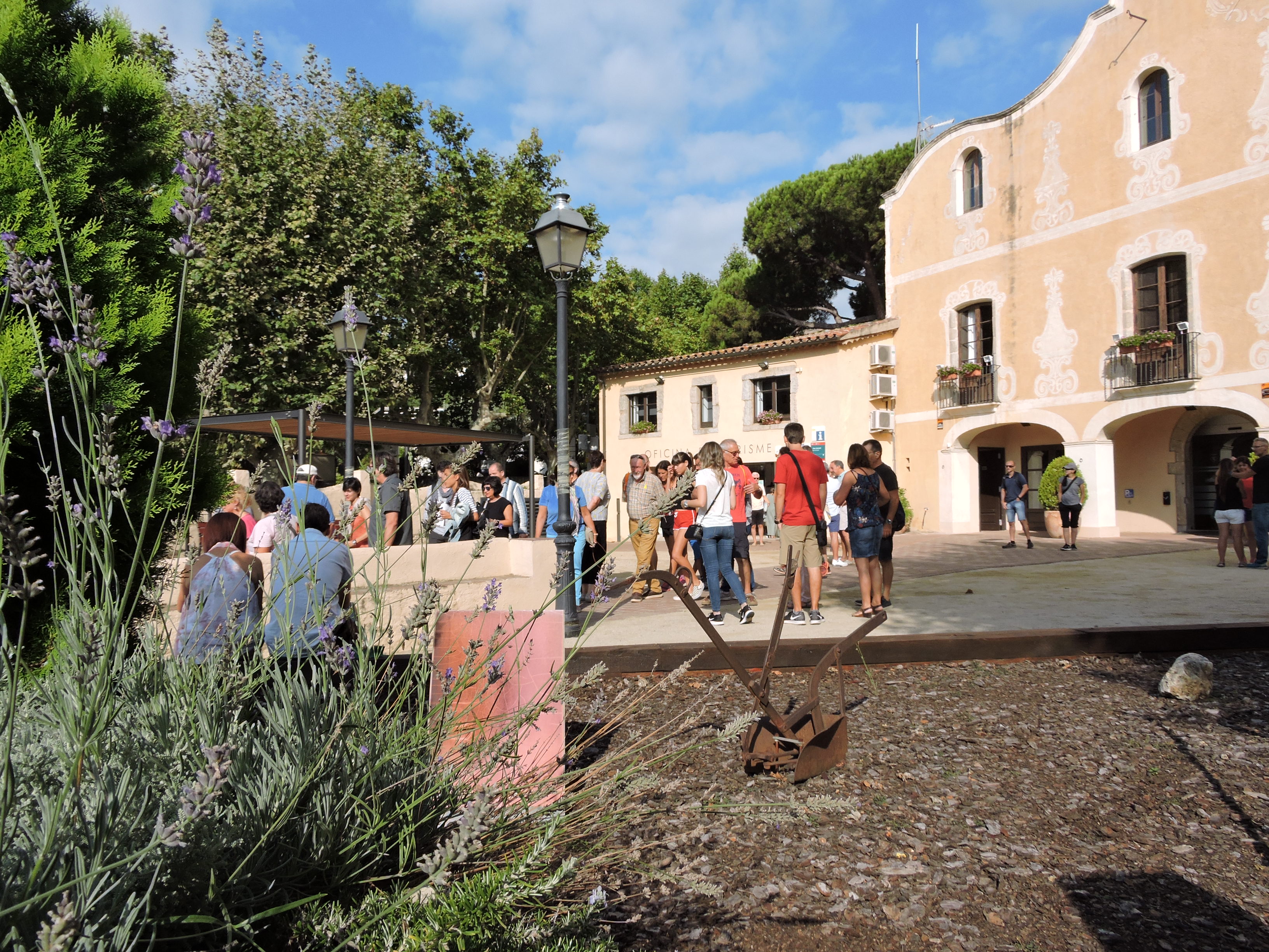 lbum de fotos de la Festa de la Verema - Foto 80004185