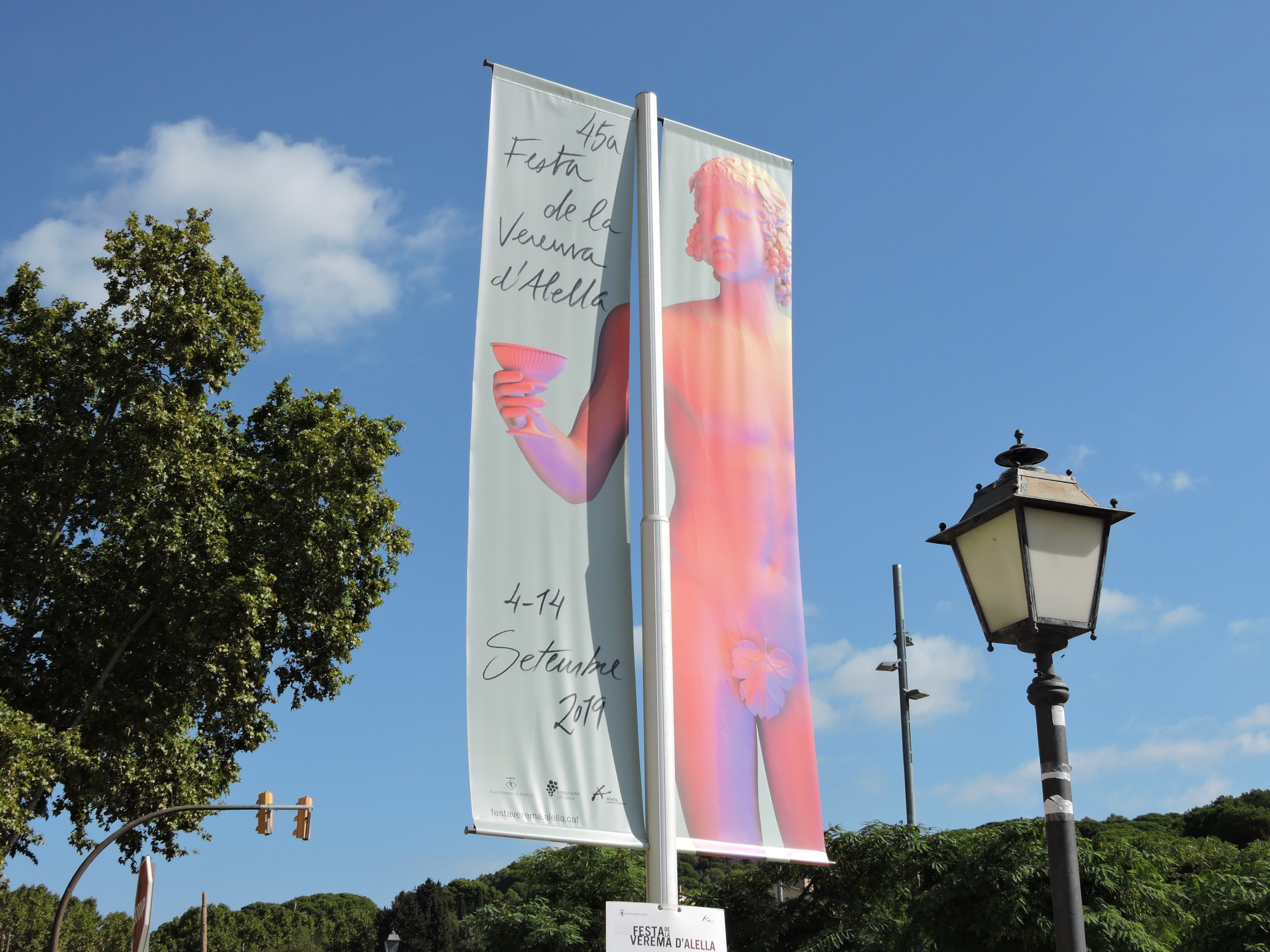 lbum de fotos de la Festa de la Verema - Foto 41714708