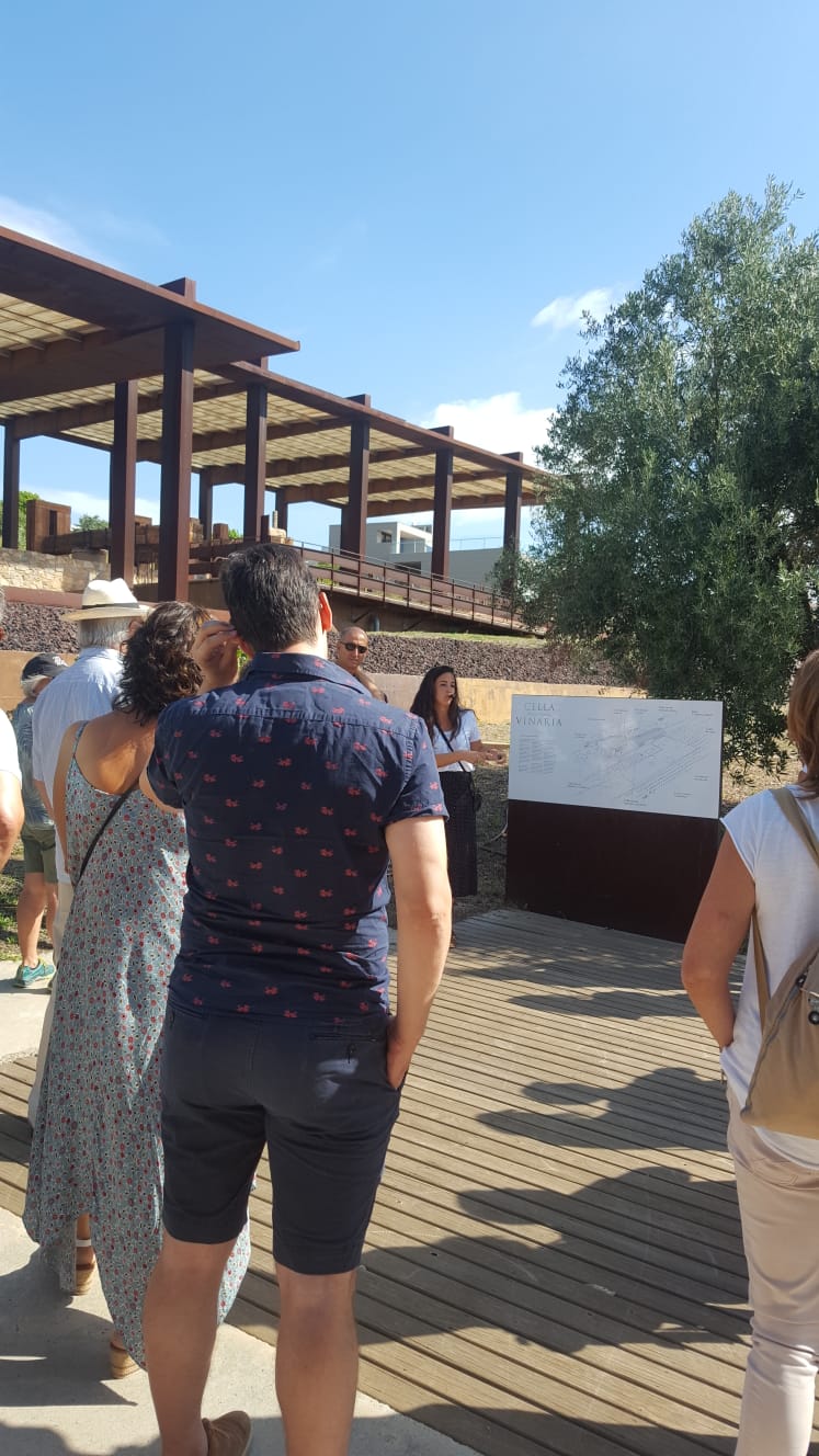 lbum de fotos de la Festa de la Verema - Foto 11133240