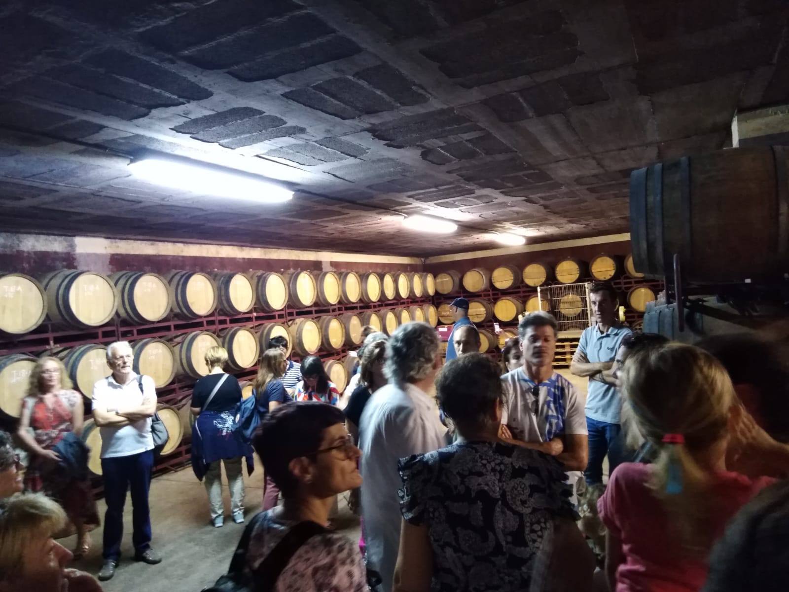 lbum de fotos de la Festa de la Verema - Foto 20597565