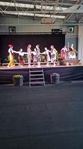 50a Festa de la Verema