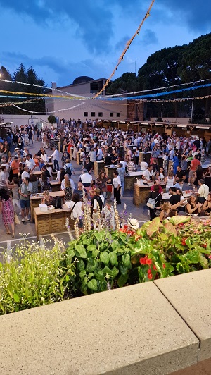 50a Festa de la Verema