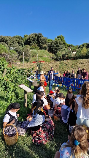 51a Festa de la Verema