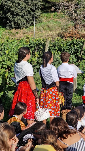 51a Festa de la Verema