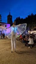 Nit del Comer� 2026