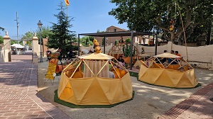 Festa Major de Sant Feliu 2025 - Foto 46809892