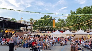 Festa Major de Sant Feliu 2025