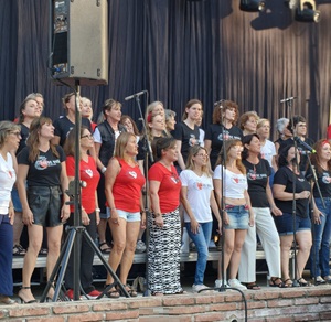 Festa Major de Sant Feliu 2026 - Foto 51229726