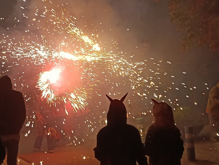 52a Festa de la Verema