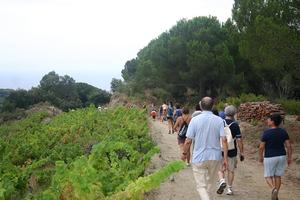 Caminada popular 2010