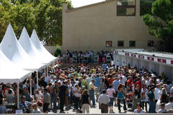 Mostra gastronòmica