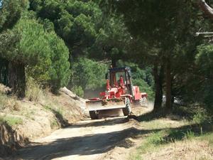 Neteja de camins