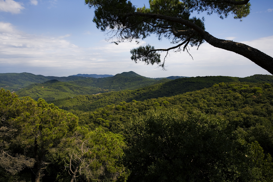 Alella acull la trobada d'estudis dels parcs de la Serralada Litoral Central