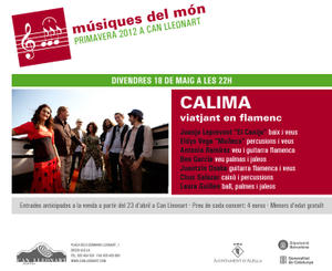 Calima, viatjant en flamenc