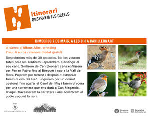 Itinerari Observem els ocells Itinerari Observem els ocells