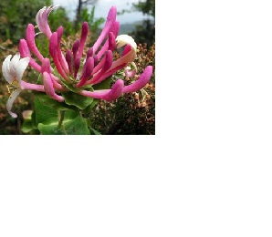 Curs patrimoni arqueològic. Curs patrimoni arqueològic.