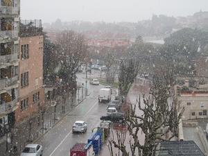 nevadafebrer