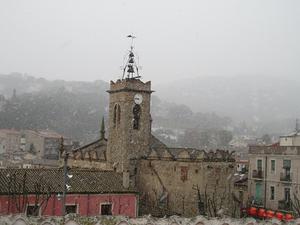 nevadafebrer