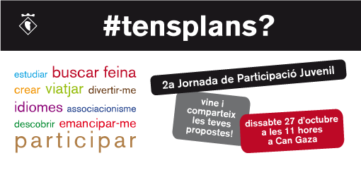 2a jornada participació Pla Jove
