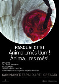 Exposició Pasqualotto Exposició Pasqualotto