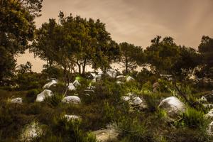 Foto Quico Lluch. Premi obert del p&uacute;blic del Concurs del Parc de la Serralada Litoral